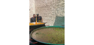 paella3